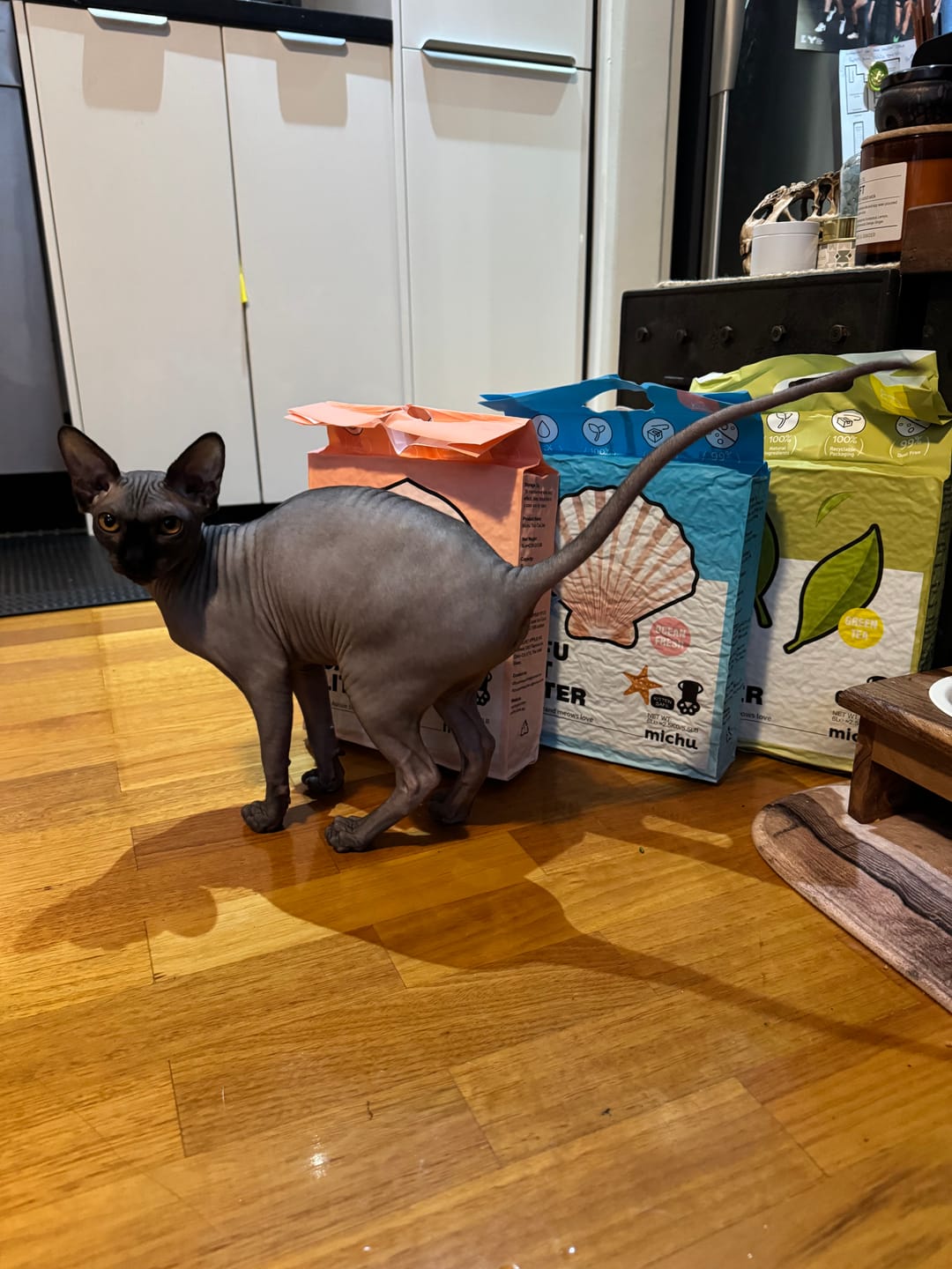 Customer photo review of Michu Tofu Cat Litter Gen3 6L- Dust-Free and Natural Clumping Tofu-Based Formula for Easy Cleanup