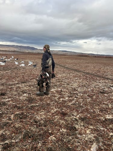 Customer photo review of FLASH SALE DeepWade Zipped Duck Waterfowl Hunting Breathable Chest Waders