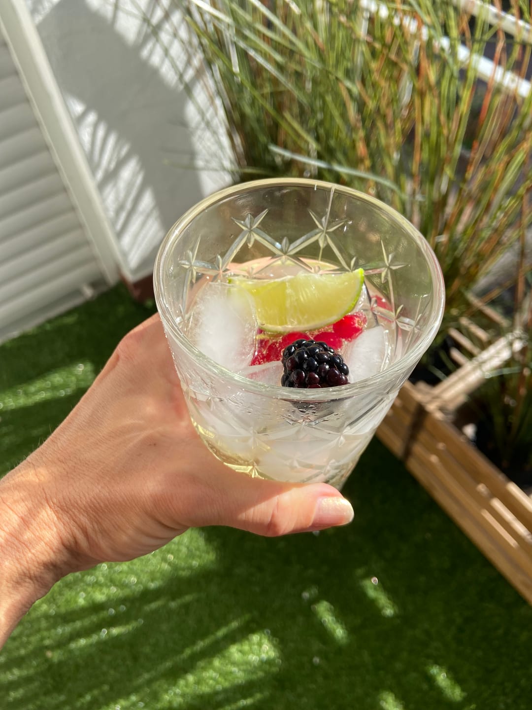 Customer photo review of VinTonic Piccolo Classic 24 x 200 ml