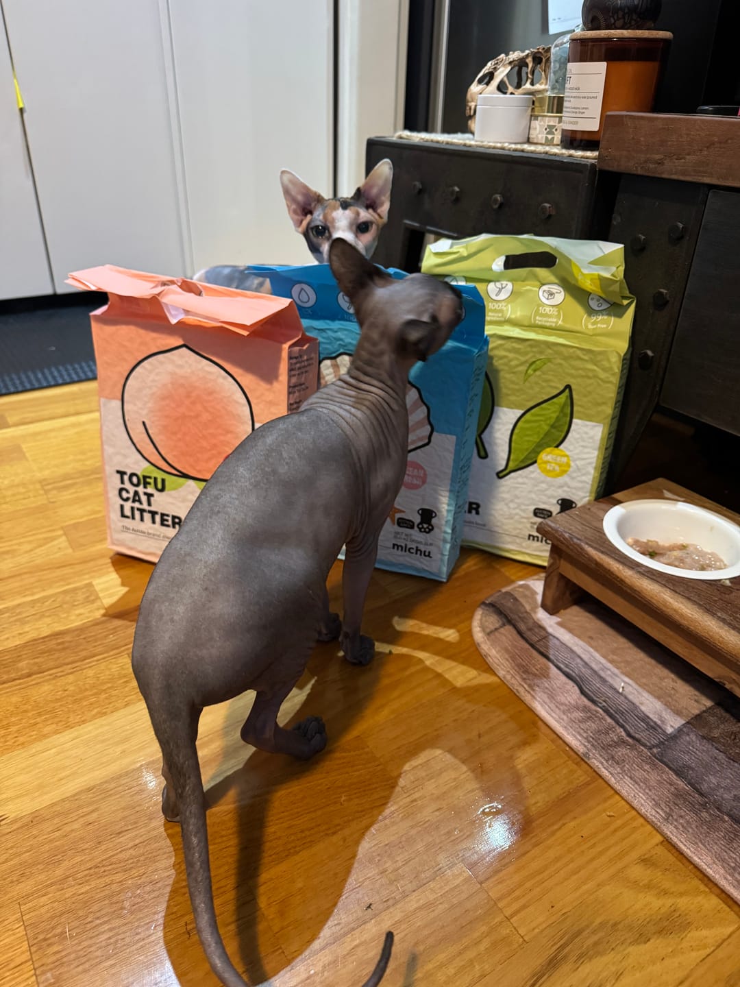 Customer photo review of Michu Tofu Cat Litter Gen3 6L- Dust-Free and Natural Clumping Tofu-Based Formula for Easy Cleanup