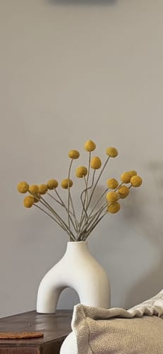 Customer photo review of Preserved Craspedia