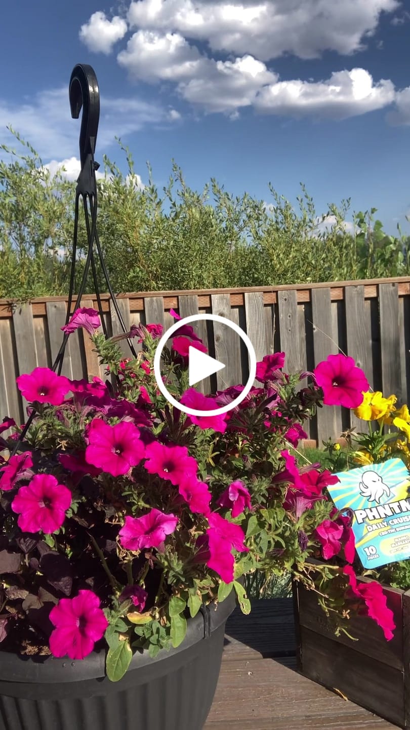 Customer video review of Daily Cruiser CBD+THC