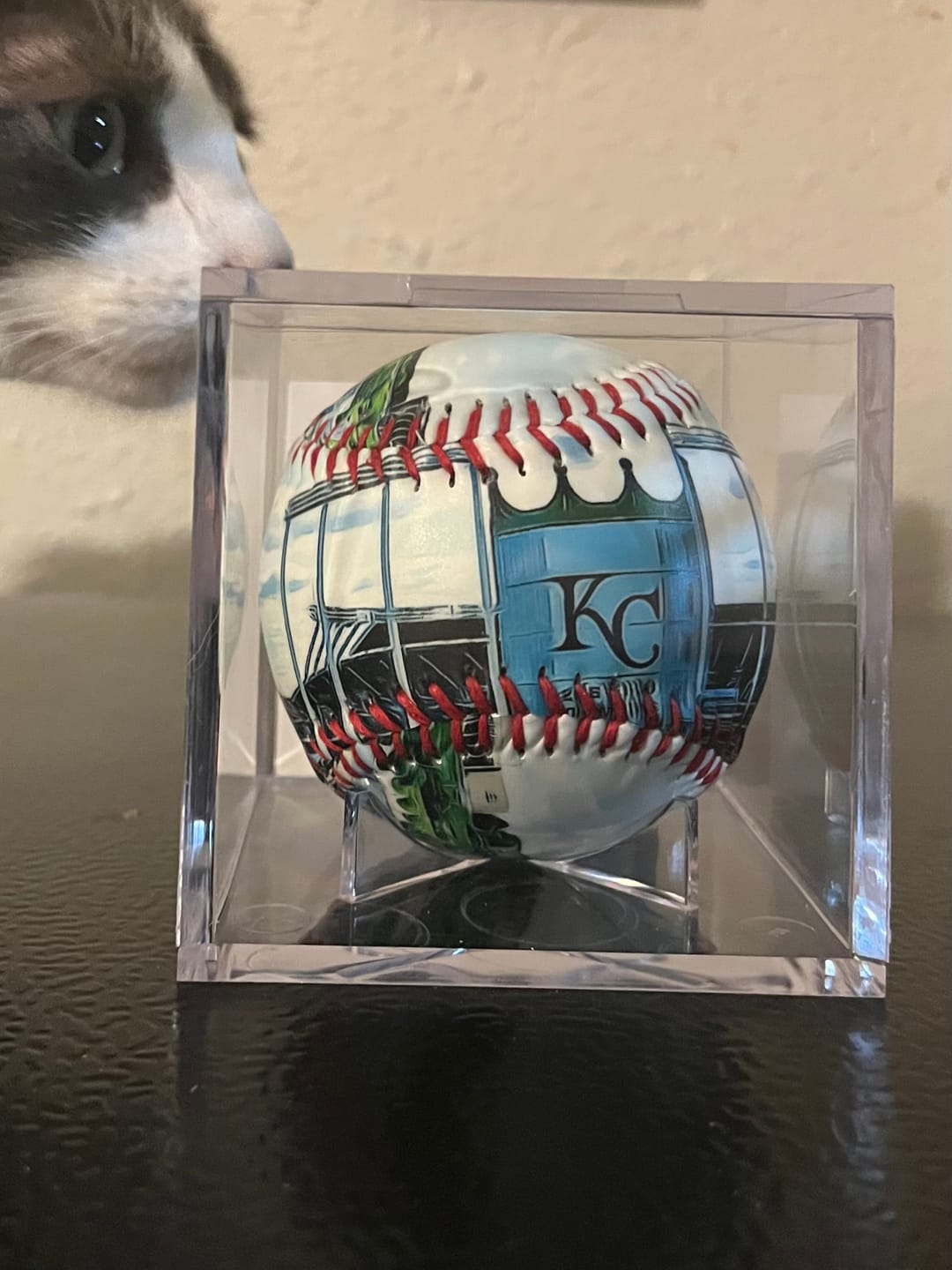 Customer photo review of Kauffman Stadium Baseball - Kansas City