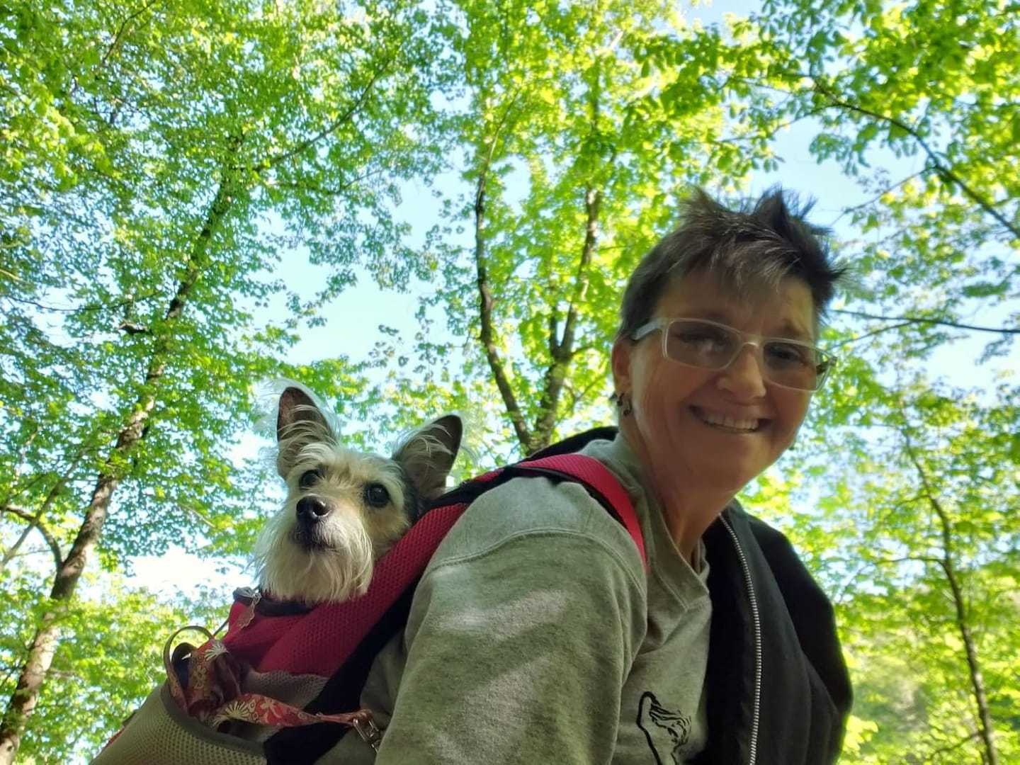 Customer photo review of The Voyager - Dog/Cat Backpack Carrier - For Small/Medium Pets