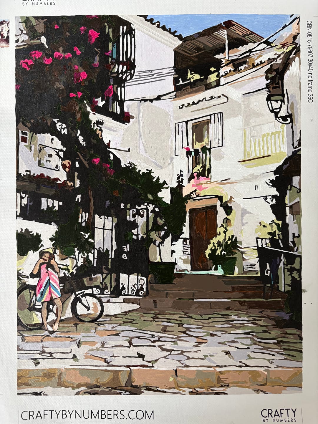 Customer photo review of Custom Paint by Numbers Kit