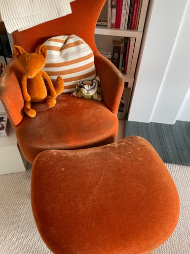 Customer photo review of ARTHUS, LE RENARD - GRAND