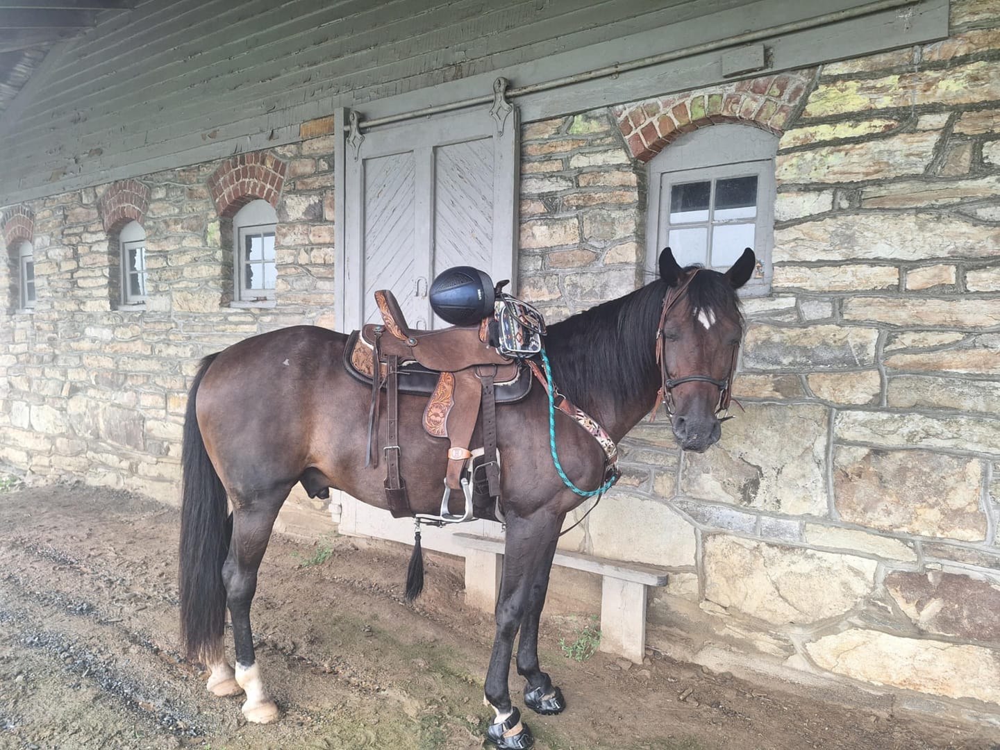Customer photo review of Renegade® Viper Shield™ Hoof Boot - Black Knight