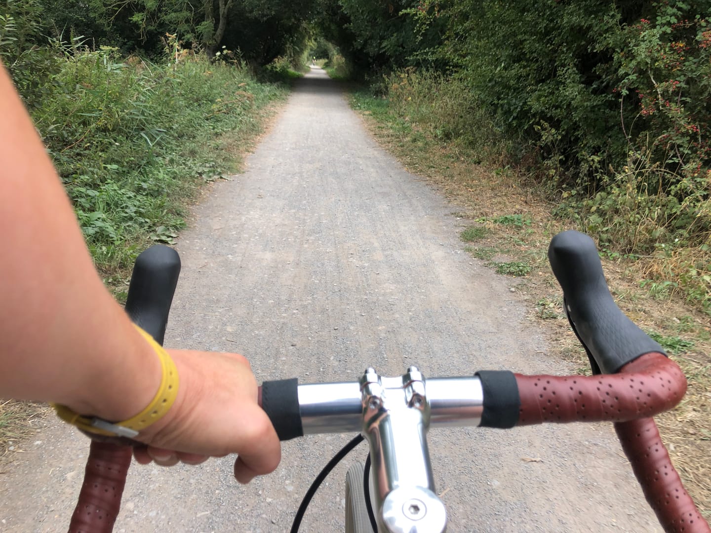 Customer photo review of Adventure Disc 2