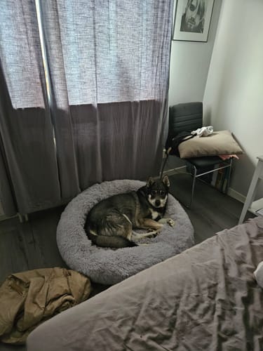 Customer photo review of CalmBed - Motverkar stress & hjälper mot ångest