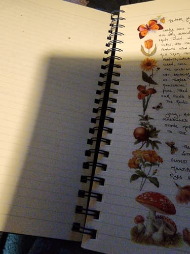 Customer photo review of Vintage Nature Transparent Stickers - Large Boxed Set - 100 Pieces