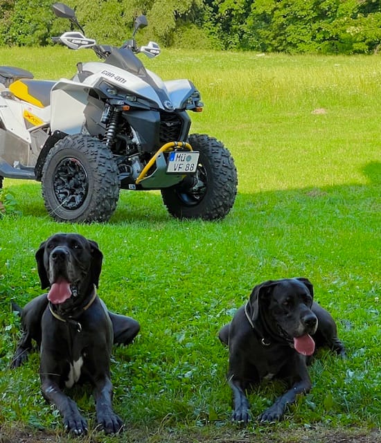 Customer photo review of Schweineohrmuscheln für Hunde
