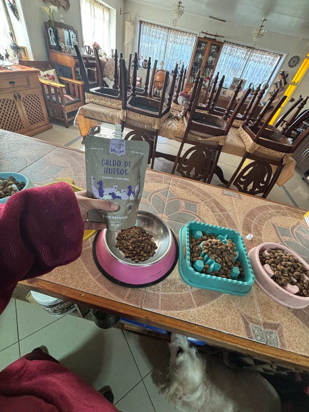 Customer photo review of Caldo de Huesos Perros