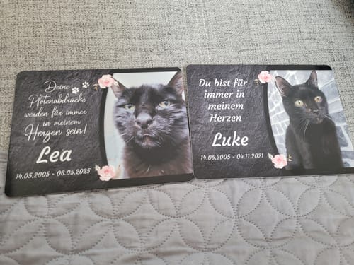 Customer photo review of Katzen Gedenktafel mit Foto & Spruch (UV- & Wetterfest)