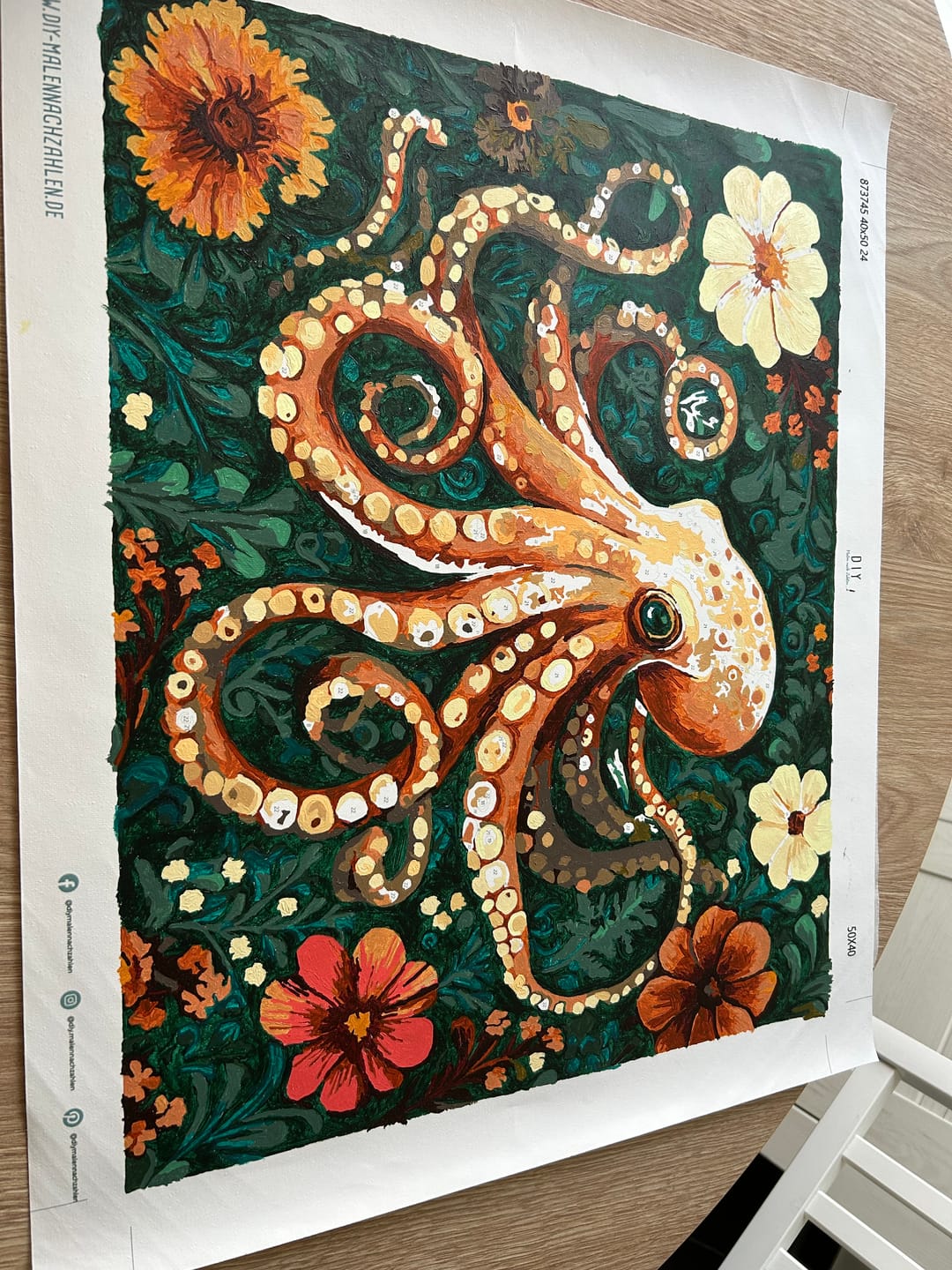Customer photo review of Malen nach Zahlen - Oktopus