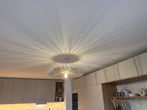 Customer photo review of Ampoule LED 12w