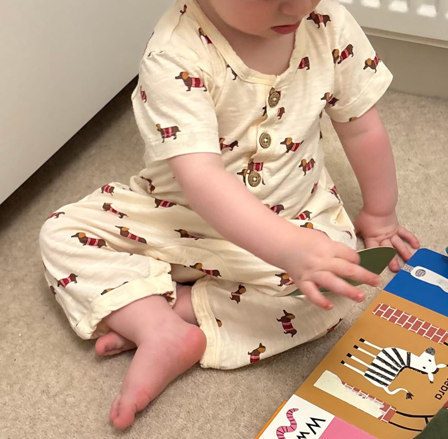 Customer photo review of Cream Sausage Dogs Organic Romper
