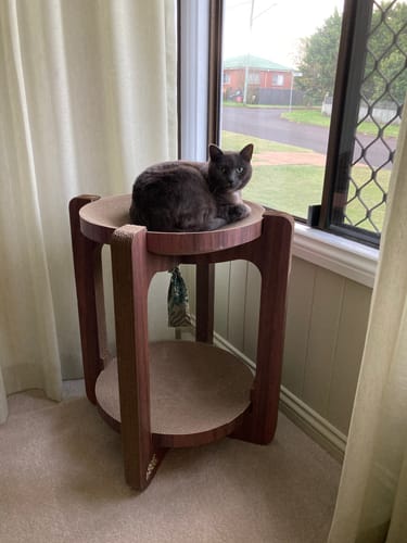 Customer photo review of Dual-Layer Cat Scratcher Tower – 360° Multi-Cat Design