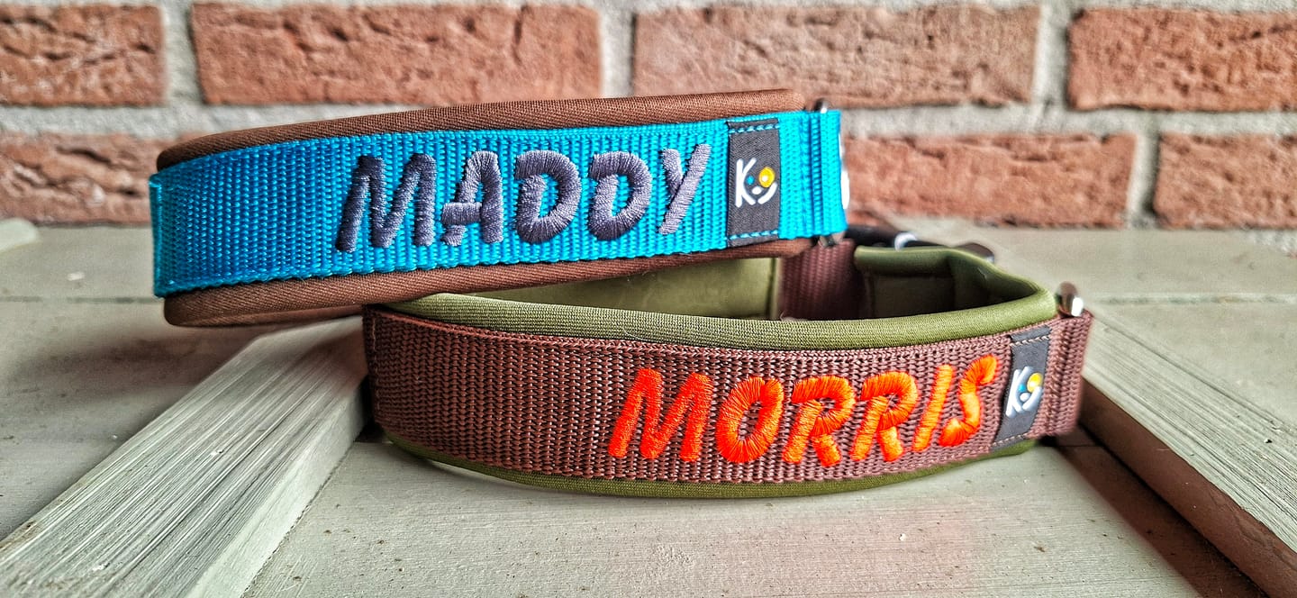 Customer photo review of Neoprene Dog Collar with Name - L | 4Kyon