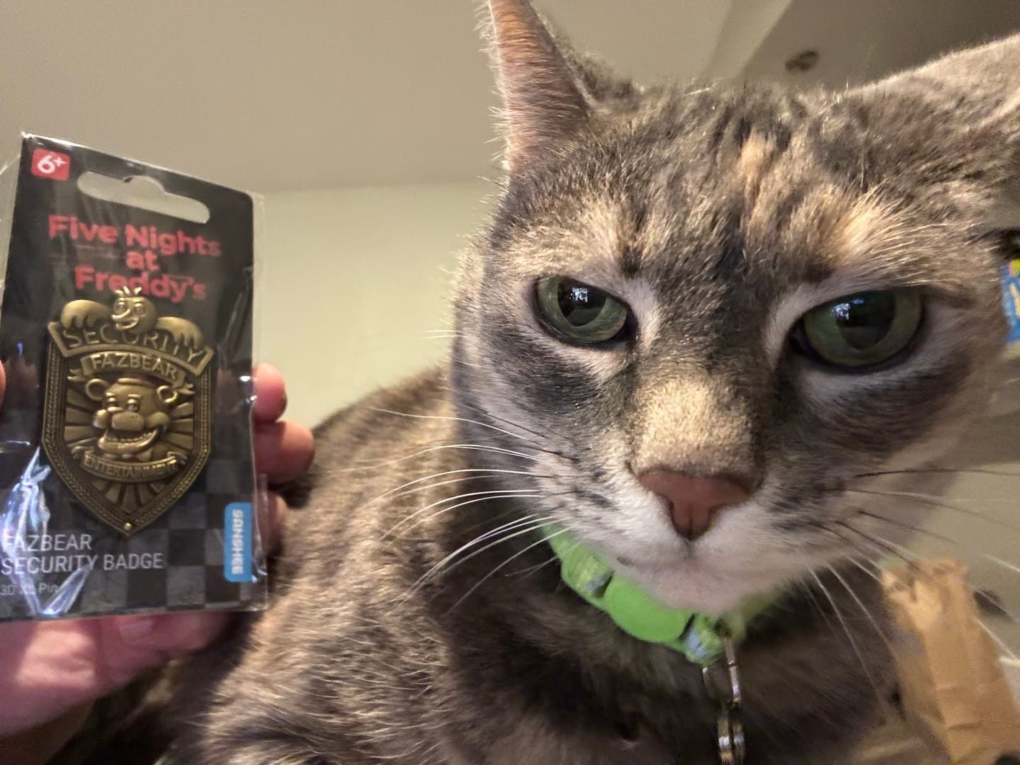 Customer photo review of Five Nights at Freddy's - Security Badge: Bronze