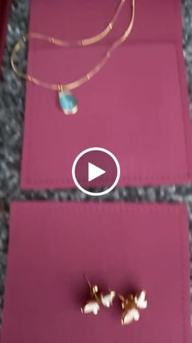 Customer video review of BLAICE