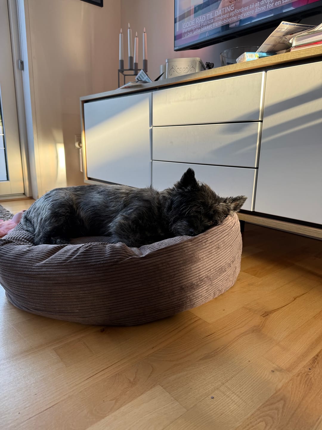 Customer photo review of Staey - Luna 3.0 Hundeseng, Taupe Fløjl