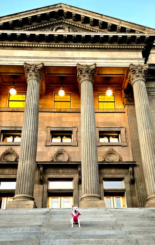 Customer photo review of Hook & Loop Patch For Harness