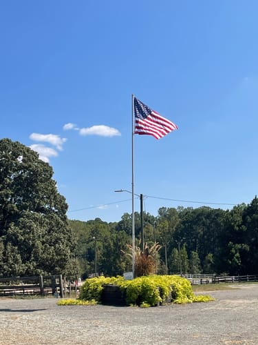 Customer photo review of Ultra Heavy Duty American Flag - 2-ply Polyester - Made In USA