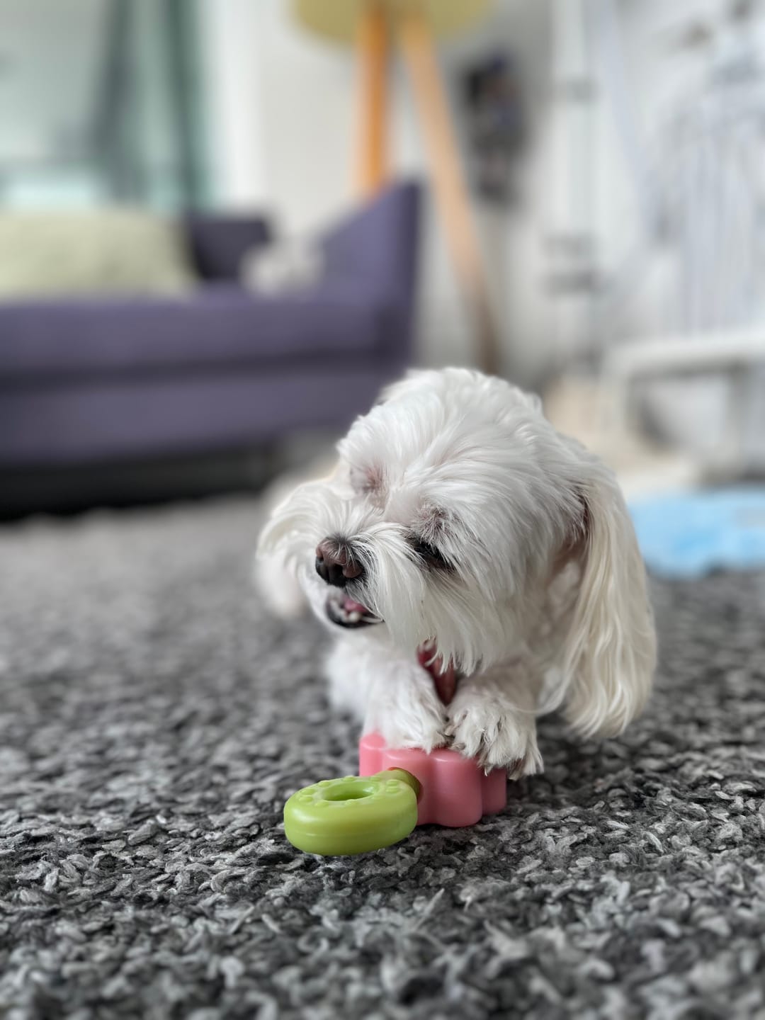 Customer photo review of Easy Bite Grip (2 colors)