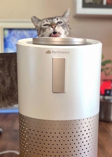 Customer photo review of Pet Air Purifier