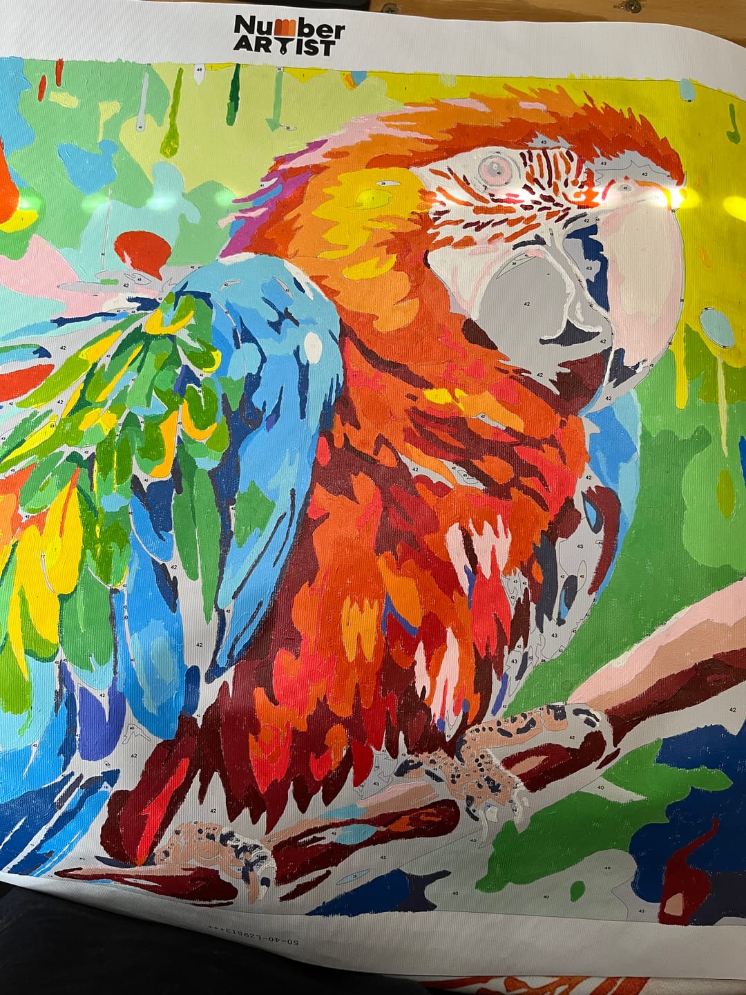 Customer photo review of Scarlet Macaw