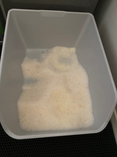 Customer photo review of 3 Month Supply - 1 Cat