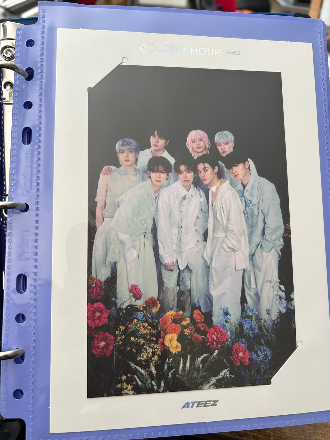 Customer photo review of Custom A5 1-Pocket Pages - Mini Poster - Bunnies Colored