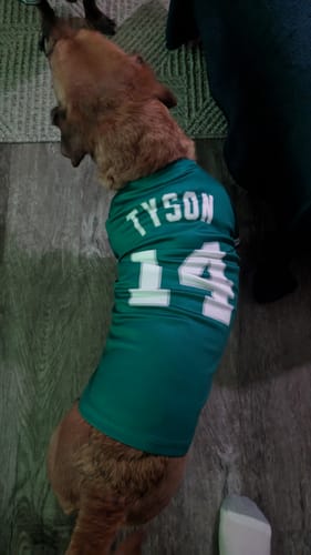 Customer photo review of Custom Kelly Green White-Gray Classic Style Dog Jersey
