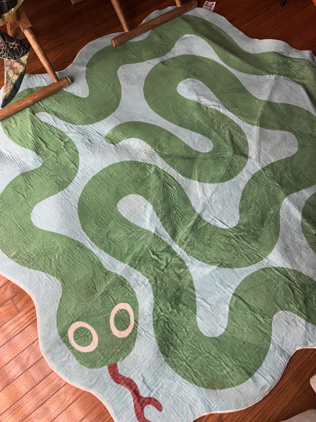 Customer photo review of Spiral Snake Design Rug by Johann Banta