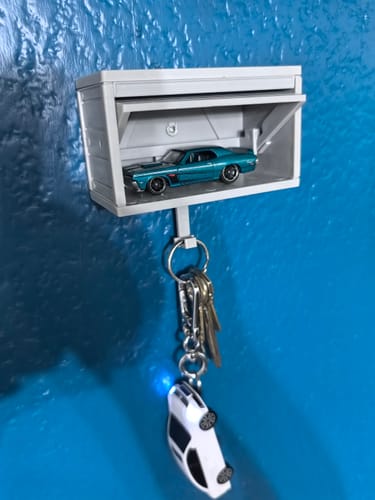 Customer photo review of BlazeGuard Key