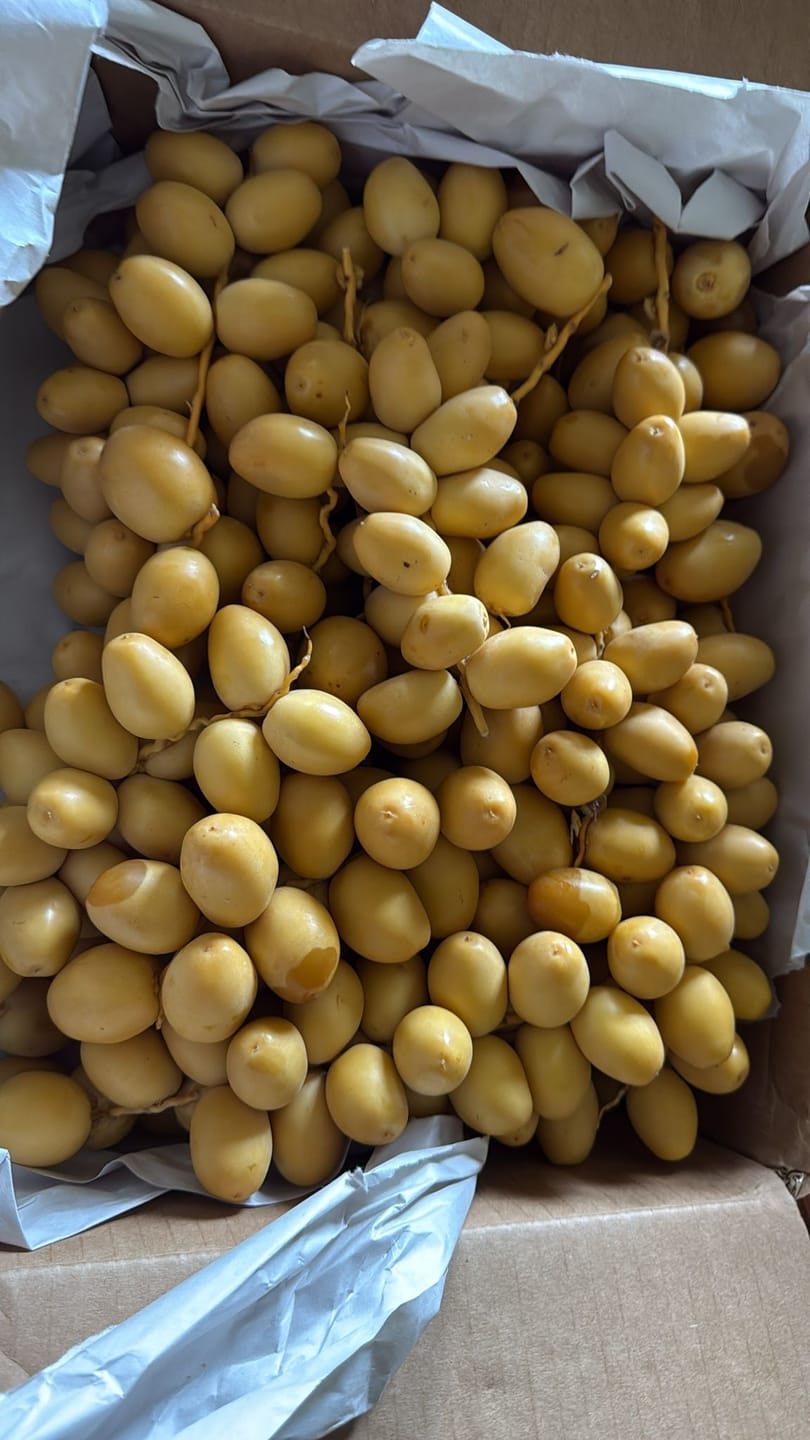 Customer photo review of Organic Yellow Barhi Dates (Khalal Barhi Dates)