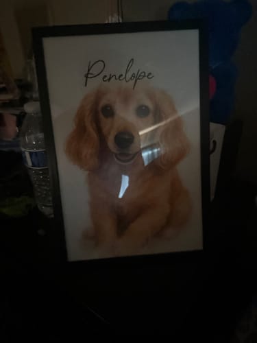 Customer photo review of Custom Watercolor Portraits Using Pet Photo Personalized Poster, Gift for Dogs Cats Lovers, Pet Lover Gift