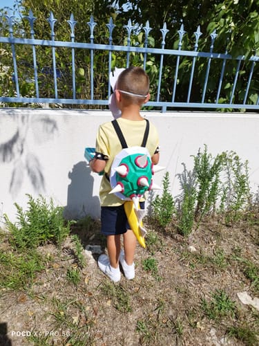 Customer photo review of Patrons Carapace de Tortue