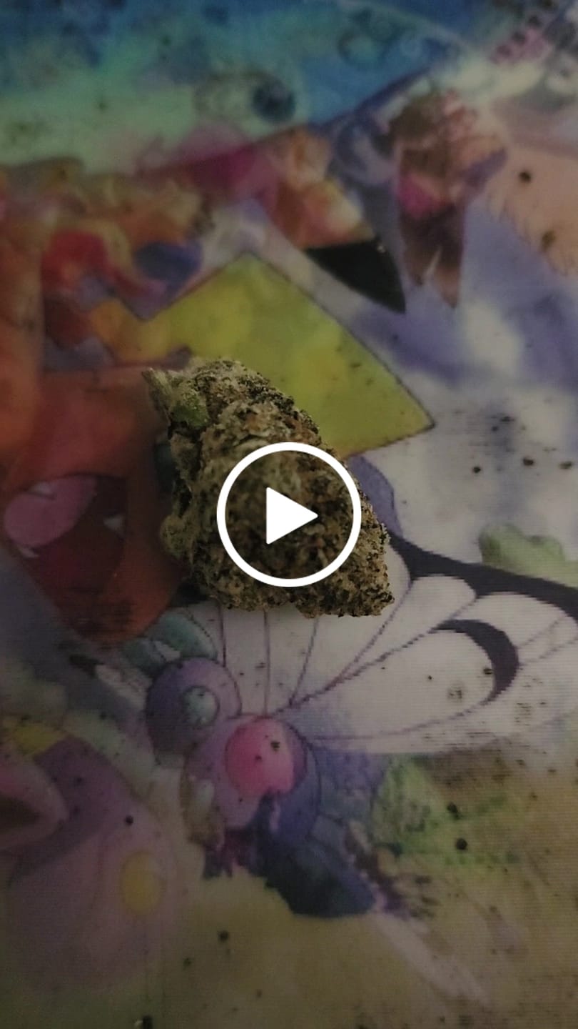 Customer video review of Gelato 45 - THCa Flower