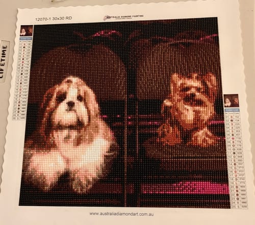 Customer photo review of Custom Diamond Painting