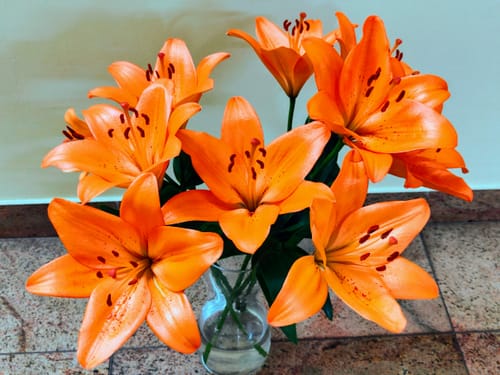 Customer photo review of Subscribe to Cut Flowers - Basic