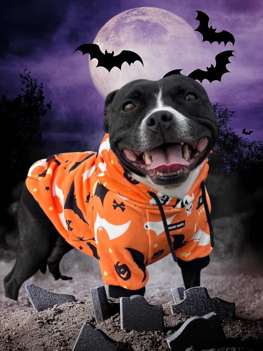 Customer photo review of Halloween Dog Hoodie - Orange