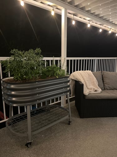 Customer photo review of Elevated Rolling Patio Garden