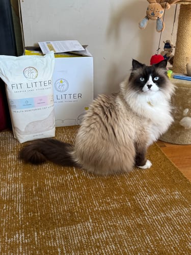 Customer photo review of Fit Litter