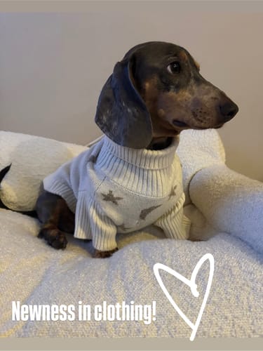 Customer photo review of Starry Nights | The Capsule Roll Neck Knit