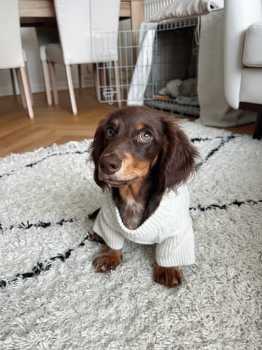 Customer photo review of Marshmallow | The Capsule Cable Knit
