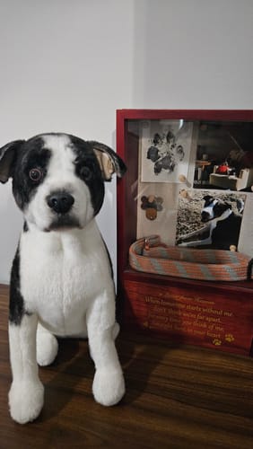 Custom Petslify plush reviewed by Kyle P., handmade replica of their dog