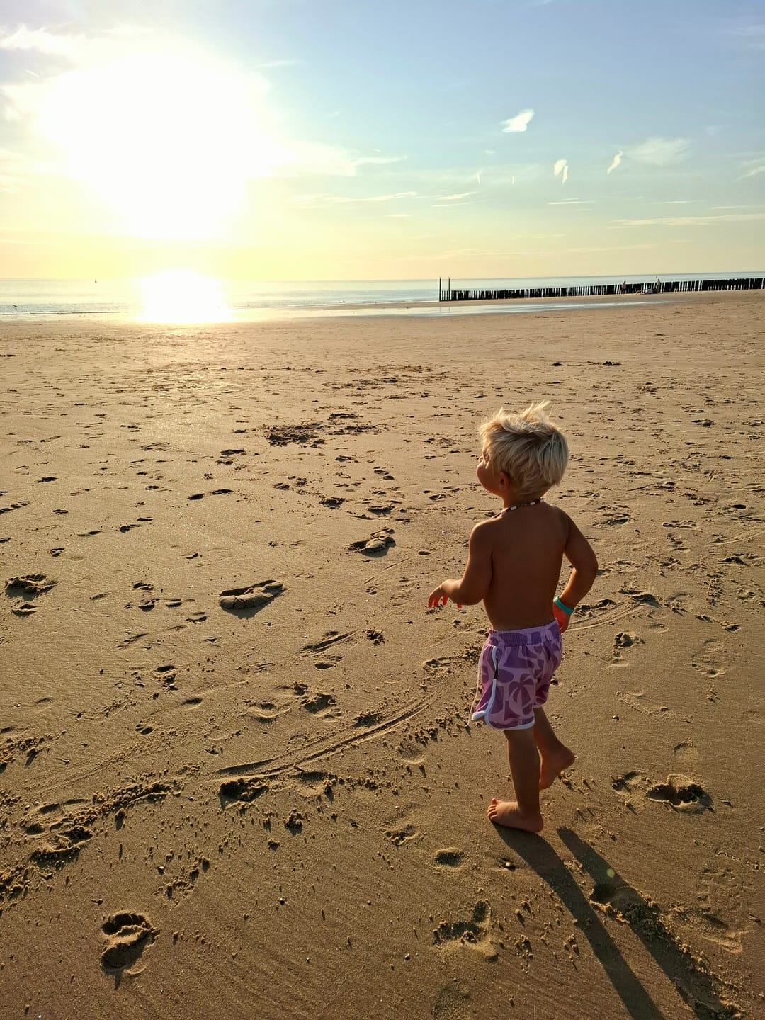 Customer photo review of BEACH COMBER VIOLET TRUNK