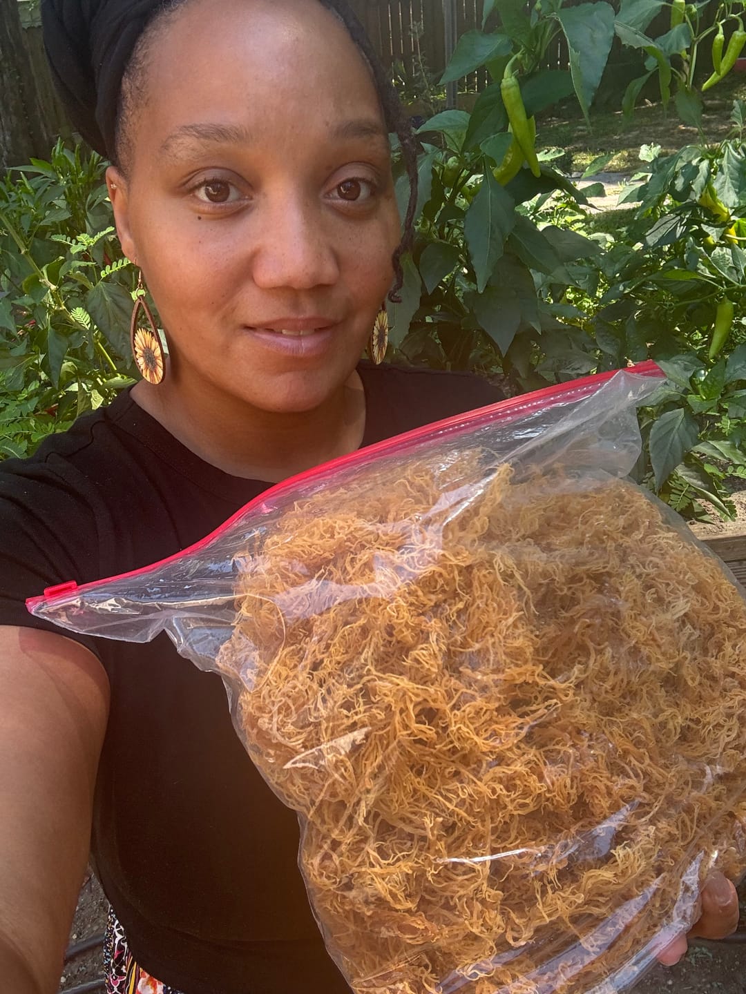 Customer photo review of Wildcrafted Sea Moss from the pristine waters of St. Lucia