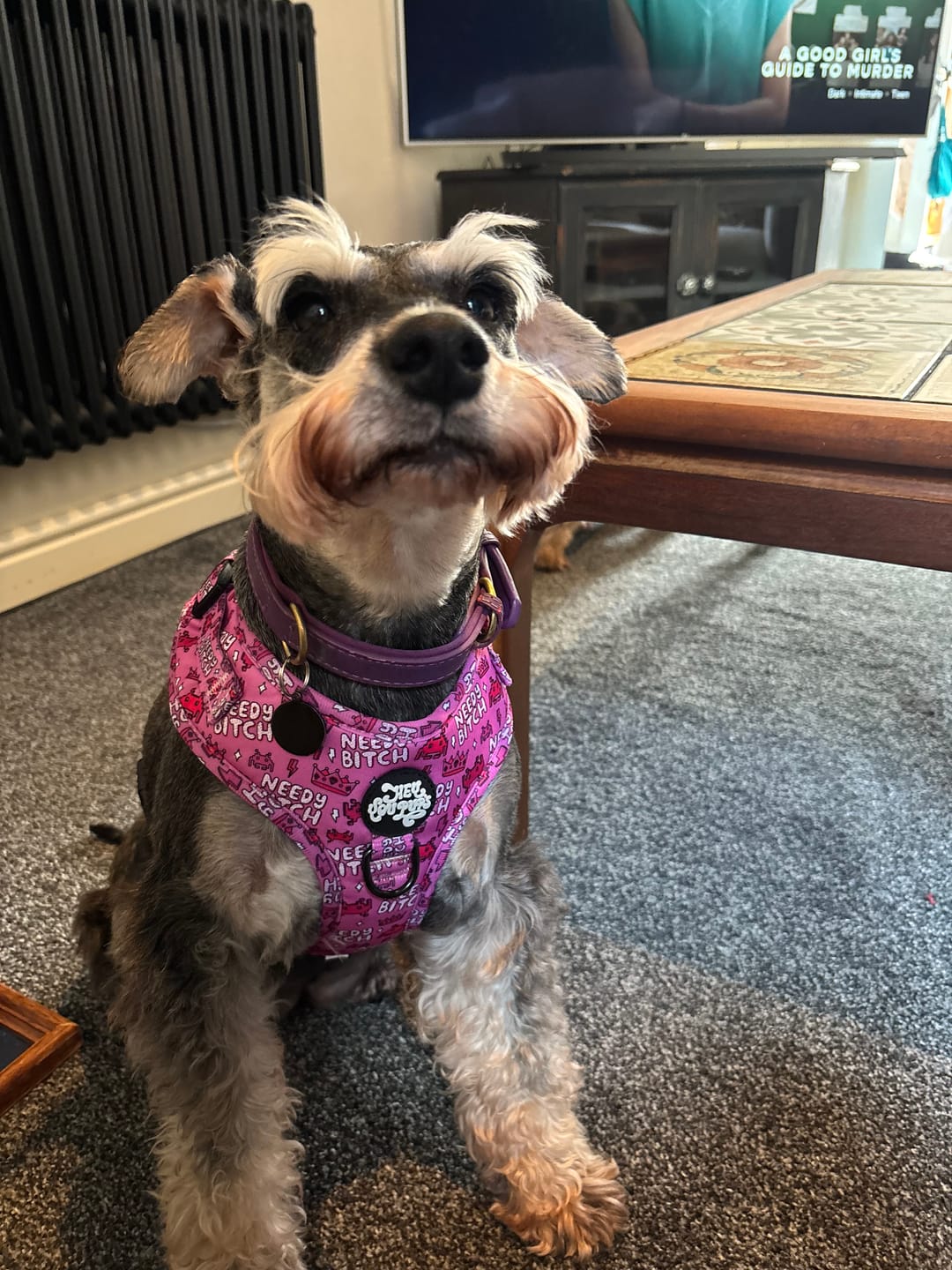 Customer photo review of Needy bitch harness